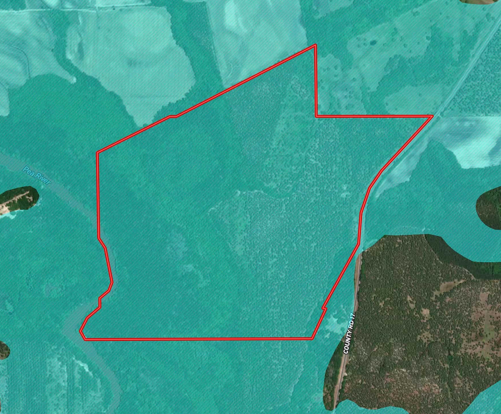 Prime Riverfront Hunting & Recreational Land for Sale in Samson Alabama!